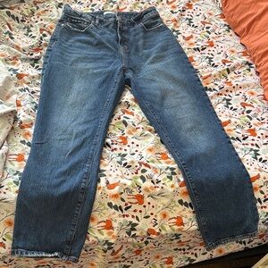 LOFT Blue Denim Straight Curvy